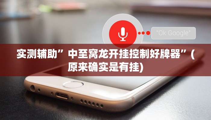 实测辅助”龙鼎拼十开挂教程”(原来确实是有挂)