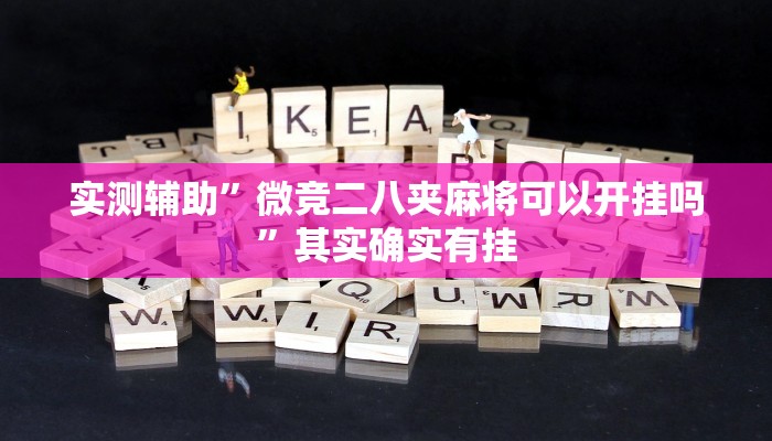 实测辅助”中至江西麻将开挂教程”(原来确实是有挂)