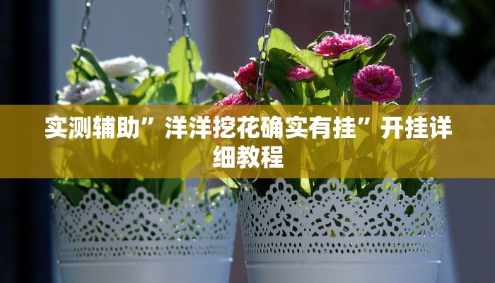 实测辅助”洋洋挖花确实有挂”开挂详细教程