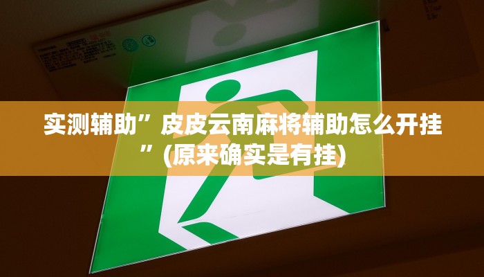 实测辅助”皮皮云南麻将辅助怎么开挂”(原来确实是有挂)