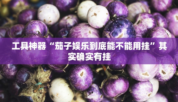 工具神器“茄子娱乐到底能不能用挂”其实确实有挂