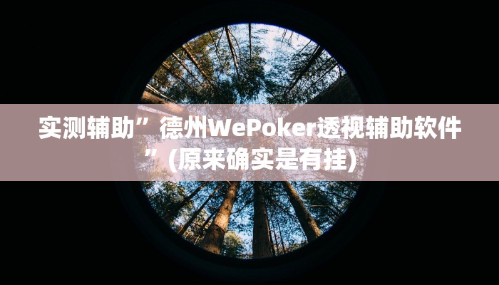 实测辅助”德州WePoker透视辅助软件”(原来确实是有挂)
