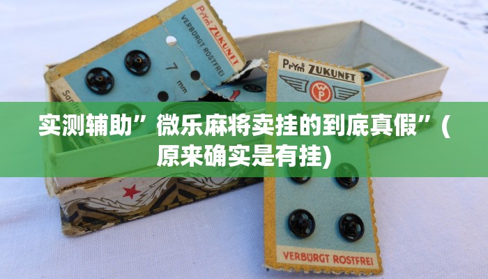 实测辅助”微乐麻将卖挂的到底真假”(原来确实是有挂)