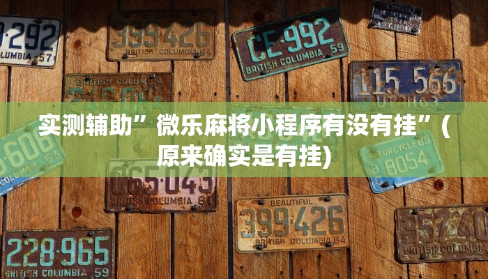 实测辅助”微乐麻将有挂么必赢”(原来确实是有挂)