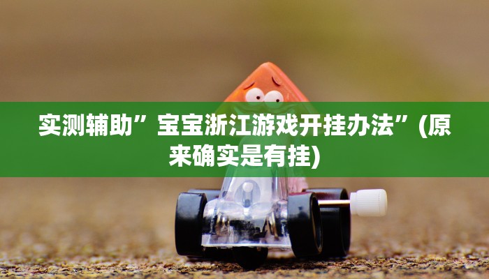 实测辅助”Winner开挂怎么买”(原来确实是有挂)