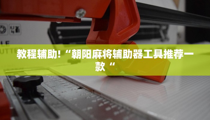 教程辅助!“朝阳麻将辅助器工具推荐一款“
