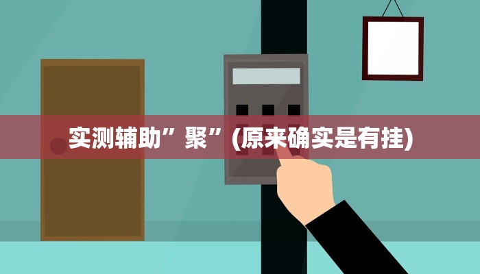 实测辅助”聚”(原来确实是有挂)