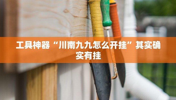工具神器“川南九九怎么开挂”其实确实有挂