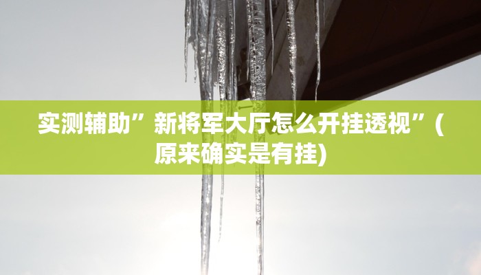 实测辅助”新将军大厅怎么开挂透视”(原来确实是有挂)