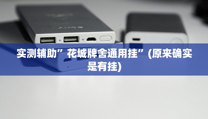实测辅助”花城牌舍通用挂”(原来确实是有挂)