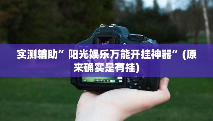 实测辅助”阳光娱乐万能开挂神器”(原来确实是有挂)