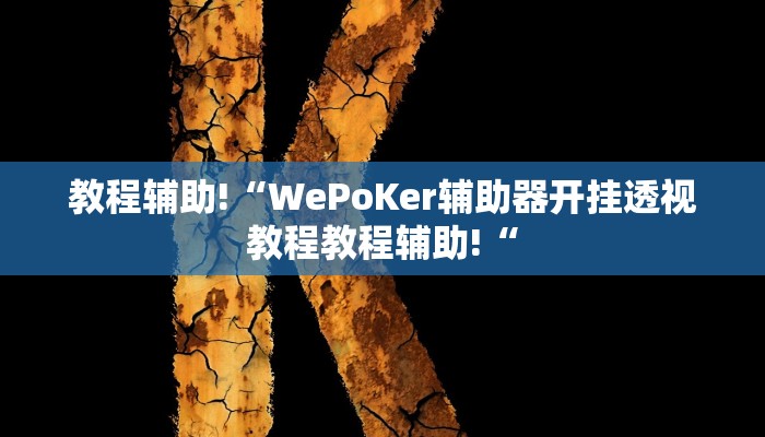 教程辅助!“WePoKer辅助器开挂透视教程教程辅助!“