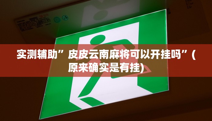 实测辅助”皮皮云南麻将可以开挂吗”(原来确实是有挂)