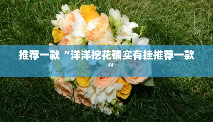 推荐一款“洋洋挖花确实有挂推荐一款“