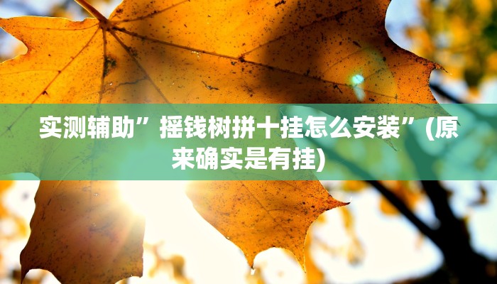 实测辅助”摇钱树拼十挂怎么安装”(原来确实是有挂)