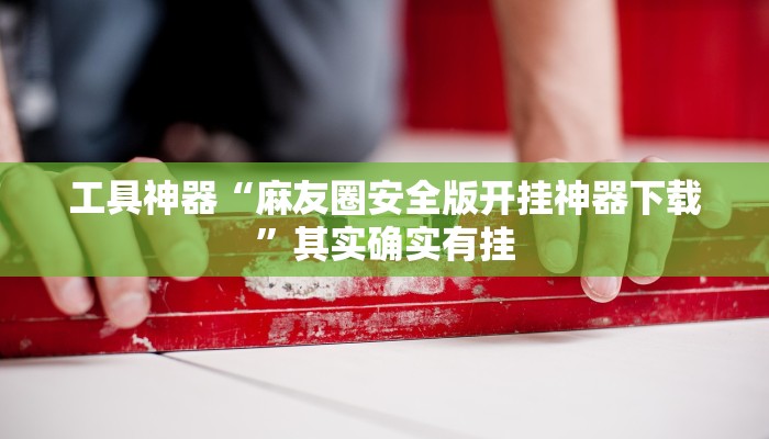 工具神器“麻友圈安全版开挂神器下载”其实确实有挂