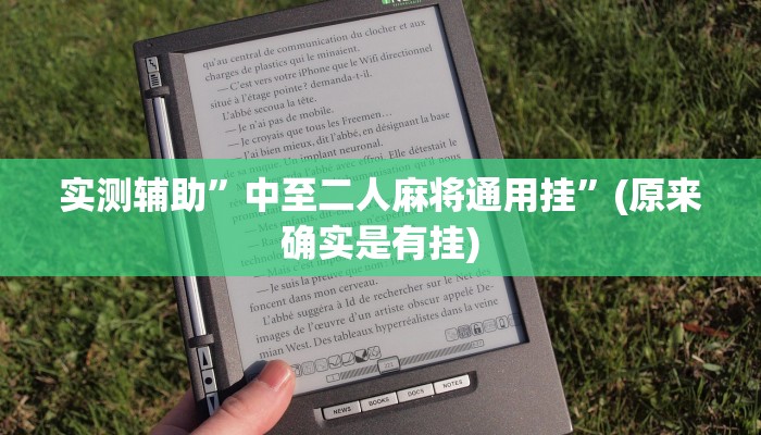 实测辅助”中至二人麻将通用挂”(原来确实是有挂)