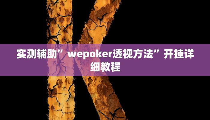 实测辅助”wepoker透视方法”开挂详细教程