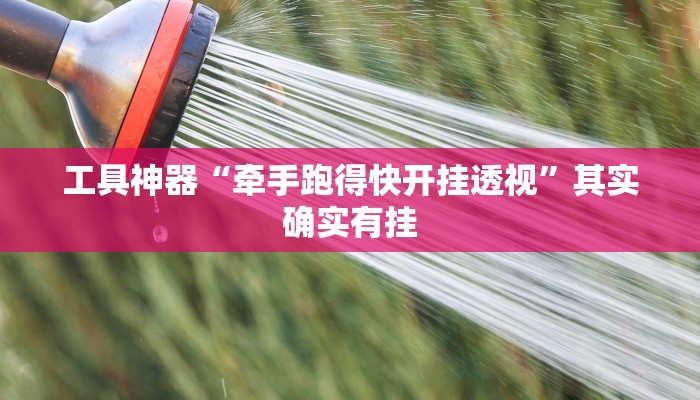 实测辅助”博雅红河开挂教程”(原来确实是有挂)