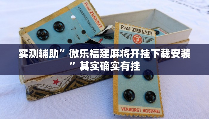 实测辅助”哈局十三张挂怎么安装”(原来确实是有挂)