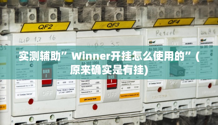实测辅助”Winner开挂怎么使用的”(原来确实是有挂)