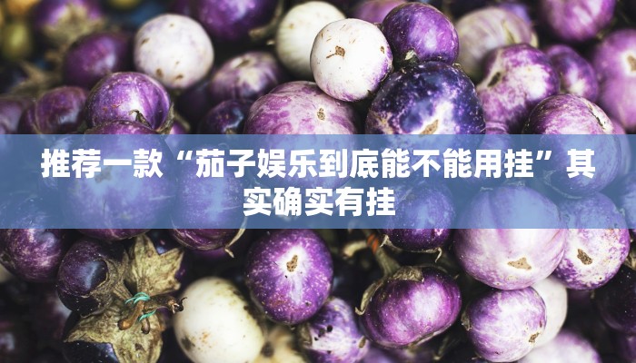 推荐一款“茄子娱乐到底能不能用挂”其实确实有挂