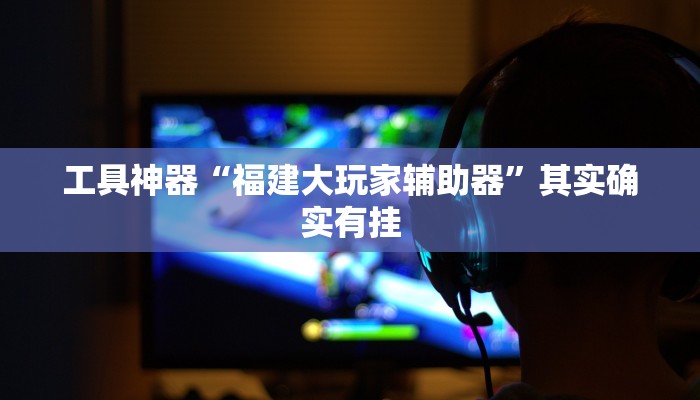 工具神器“福建大玩家辅助器”其实确实有挂