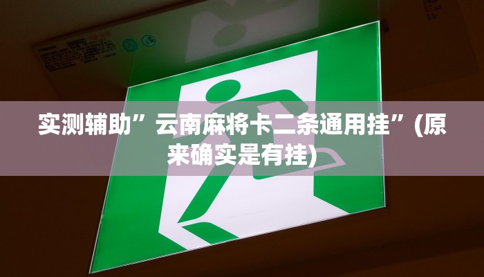 实测辅助”云南麻将卡二条通用挂”(原来确实是有挂)