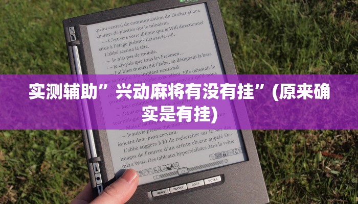 实测辅助”兴动麻将有没有挂”(原来确实是有挂)