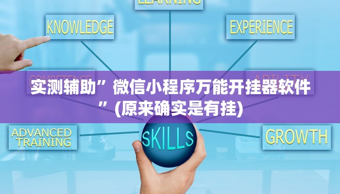 实测辅助”微信小程序万能开挂器软件”(原来确实是有挂)