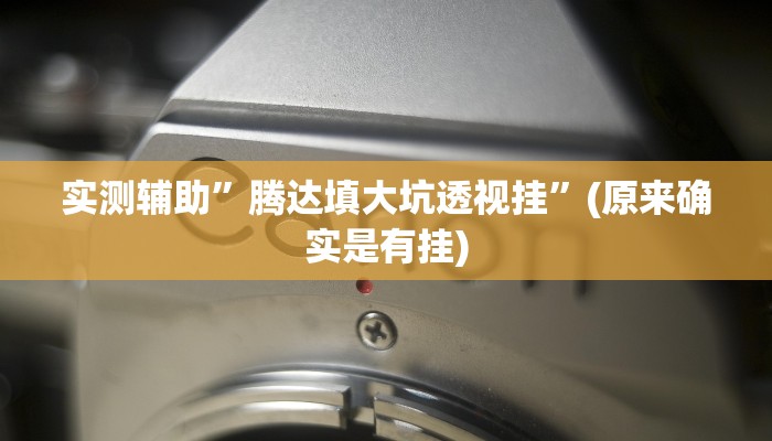 实测辅助”腾达填大坑透视挂”(原来确实是有挂)