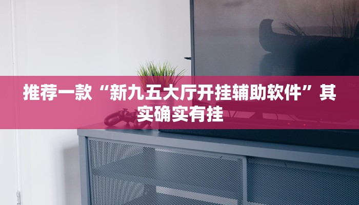 推荐一款“新九五大厅开挂辅助软件”其实确实有挂