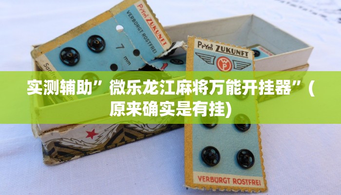 实测辅助”微乐龙江麻将万能开挂器”(原来确实是有挂)