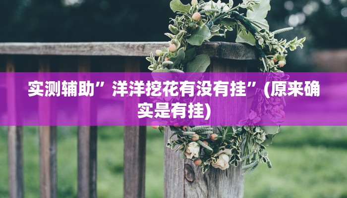 实测辅助”洋洋挖花有没有挂”(原来确实是有挂)