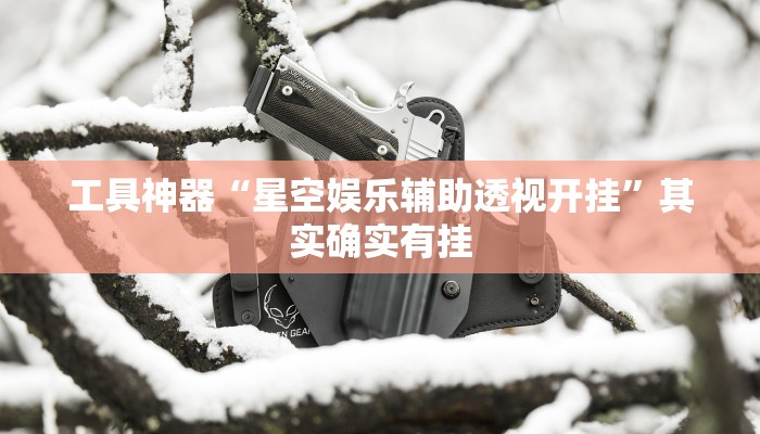 工具神器“星空娱乐辅助透视开挂”其实确实有挂