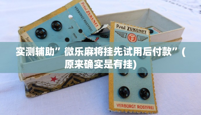 实测辅助”微乐麻将挂先试用后付款”(原来确实是有挂)