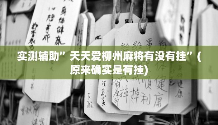实测辅助”天天爱柳州麻将有没有挂”(原来确实是有挂)