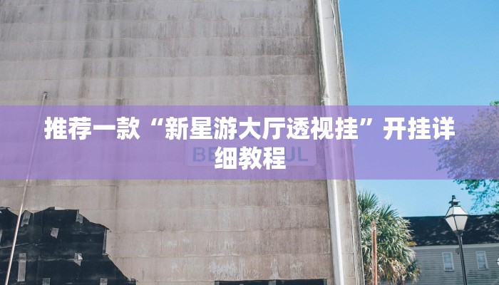 推荐一款“新星游大厅透视挂”开挂详细教程