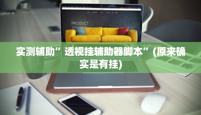 实测辅助”透视挂辅助器脚本”(原来确实是有挂)