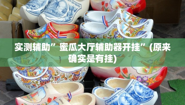 实测辅助”蜜瓜大厅辅助器开挂”(原来确实是有挂)