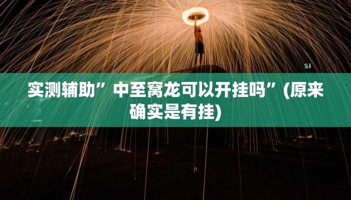 实测辅助”中至窝龙可以开挂吗”(原来确实是有挂)