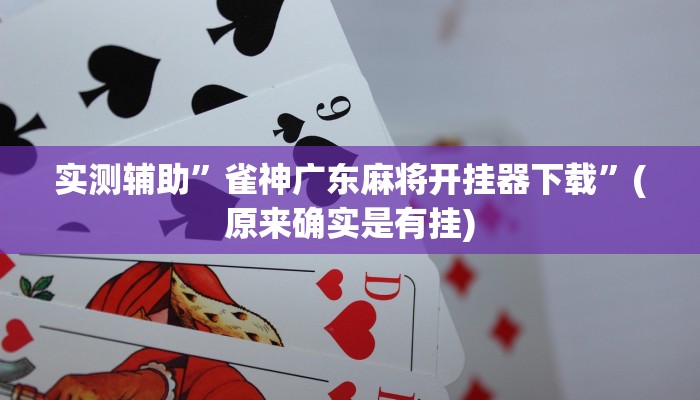 实测辅助”摇钱树拼十通用挂”(原来确实是有挂)