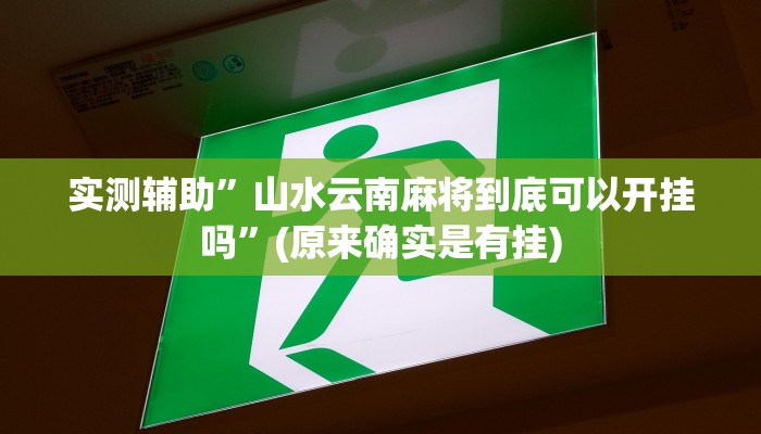实测辅助”山水云南麻将到底可以开挂吗”(原来确实是有挂)