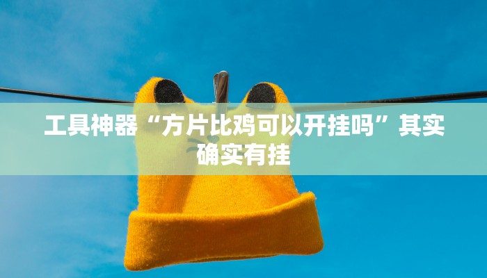 工具神器“方片比鸡可以开挂吗”其实确实有挂