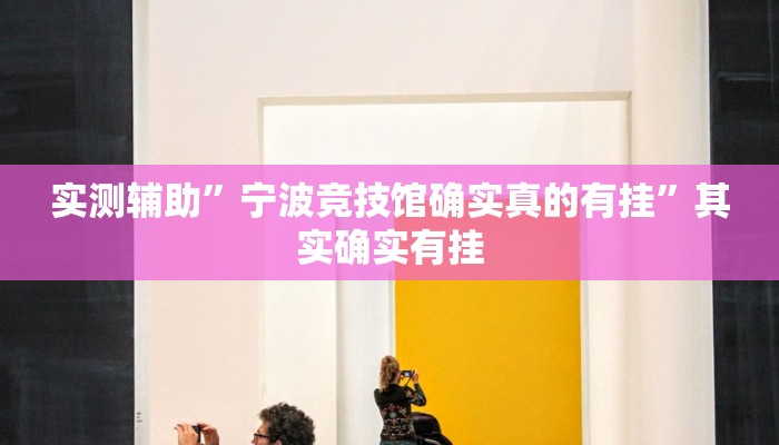 实测辅助”宁波竞技馆确实真的有挂”其实确实有挂