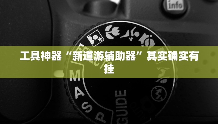 工具神器“新道游辅助器”其实确实有挂