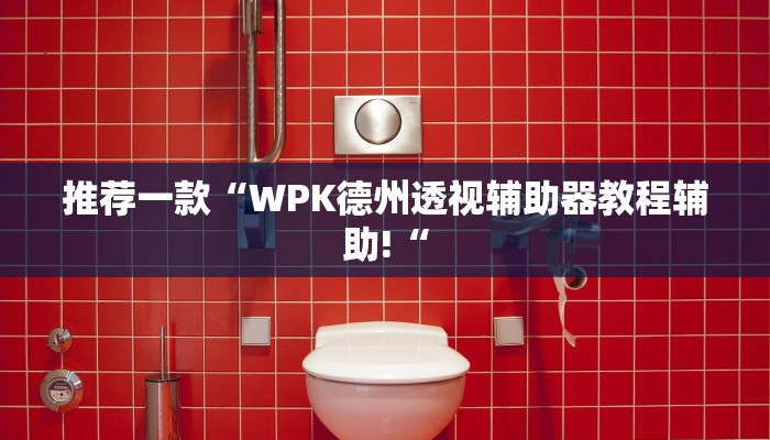推荐一款“WPK德州透视辅助器教程辅助!“
