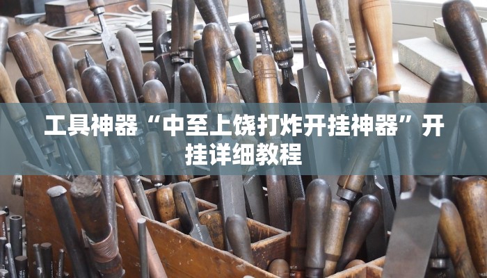 工具神器“中至上饶打炸开挂神器”开挂详细教程