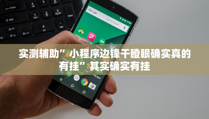 实测辅助”小程序边锋干瞪眼确实真的有挂”其实确实有挂