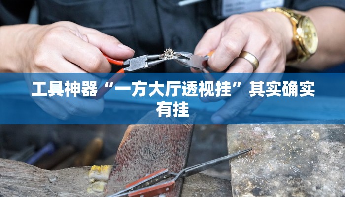 工具神器“一方大厅透视挂”其实确实有挂